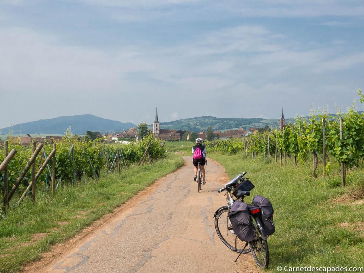 Villa Coeur D'Alsace Colmar Vignobles Ouest Avec Terrasses Wintzenheim Exterior foto