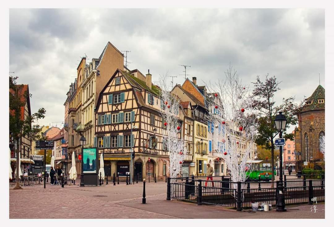 Villa Coeur D'Alsace Colmar Vignobles Ouest Avec Terrasses Wintzenheim Exterior foto